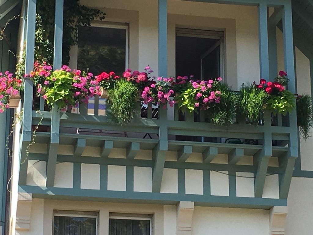 Schwarzwald Villa 겐넨바흐 외부 사진